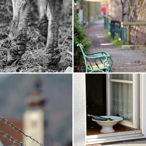 meine Stadt - Street-Photography