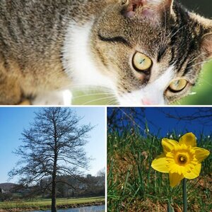 Frühling!