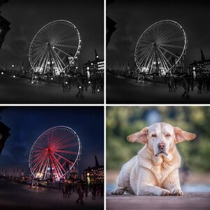 Some Images
