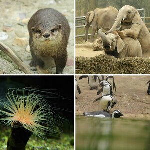 Zoo Wuppertal
