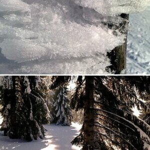 Winterbilder