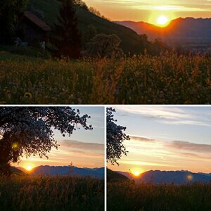 Frühling 09