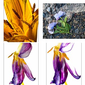 Fotos für das Portfolio 1