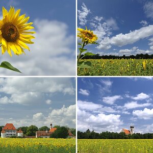Natur u. Landschaft II