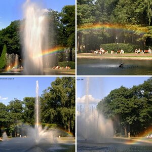 Regenbogen-Studie