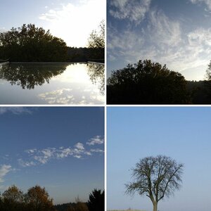 Herbst