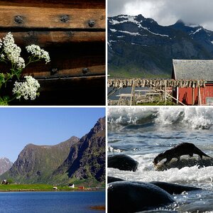 Lofoten