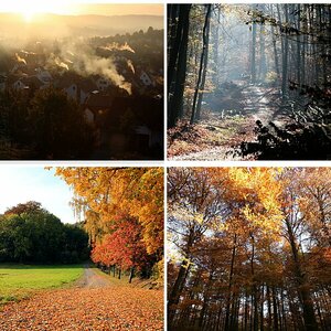 Herbst