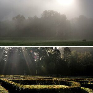 Nebel und Sonne