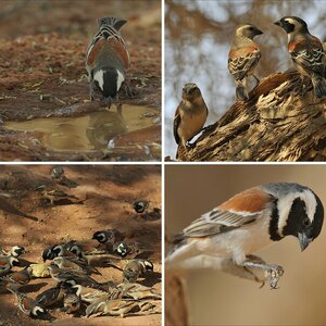 Namibia 2009