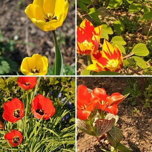 Frühling
