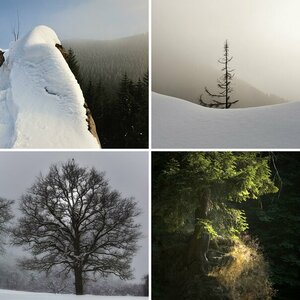 Harz