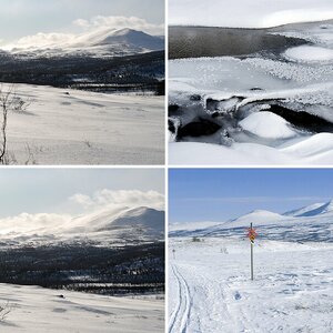 Winterwanderung 2009