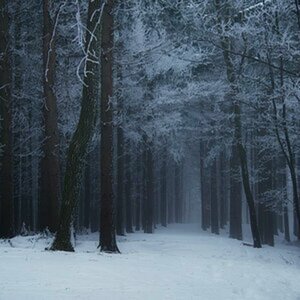 Winterspaziergang