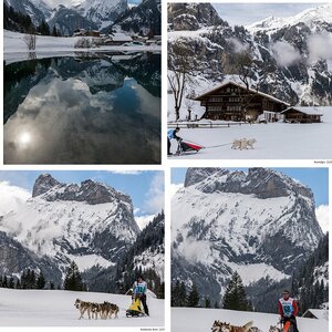 Hundeschlittenrennen Kandersteg 2015