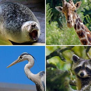 Duisburger Zoo