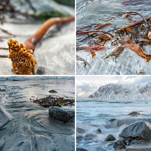 2019 Lofoten Reisebericht I