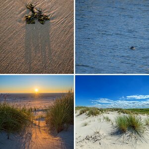 Wangerooge
