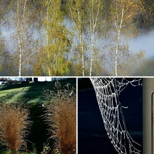 Südsteiermark 1.Nov.2013