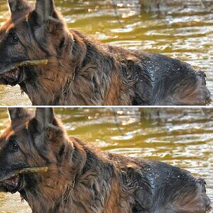 Unser Hundeopa
