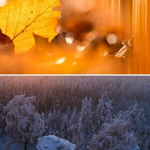 Natur