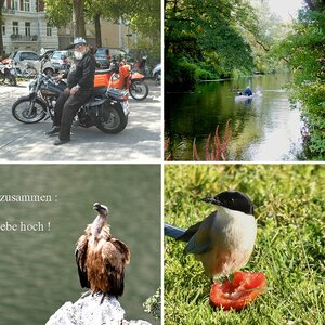 weiter unterwegs 2019
