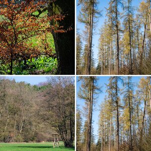 Natur/Landschaft