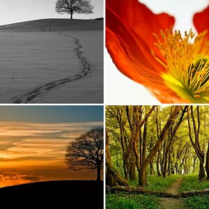 Natur