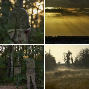 Zingst