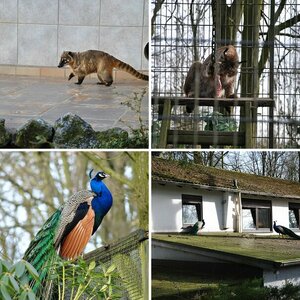 Fauna Solingen