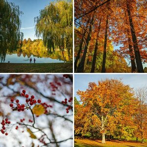 Herbstimpressionen