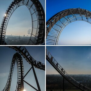Tiger and Turtle