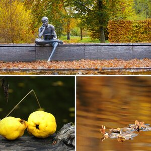 Herbst
