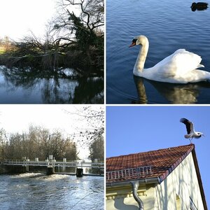 Blankensee