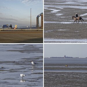Cuxhaven + Neuwerk