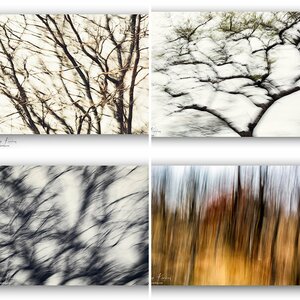 ICM
