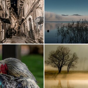 Top 5 2016