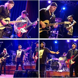 Vargas Blues Band