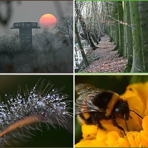 Meine 5 ausgesuchten Fotos aus 2016