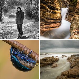 Best of 2016