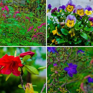 Blumen Landschaft etc