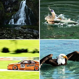 Best of 2016