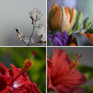 Natur