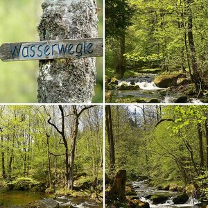 Eyachtal-Nordschwarzwald