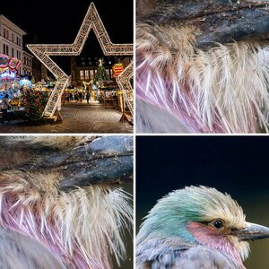Diverses