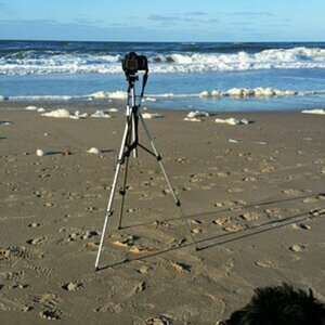 Sylt
