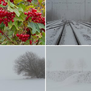 Herbst/Winter