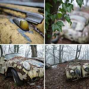 Autoskulpturenpark