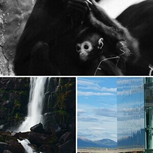 Lieblingsbilder 2016