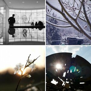 Meine Top Five 2016
